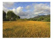 Serra da Arrábida