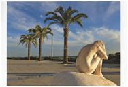 Praça da Califórnia, Sesimbra.