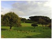 Vista na propriedade da Casa da Mesquita