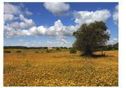 Serra da Arrábida