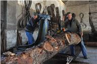 Alinhamento de toro de pinheiro para corte de tábuas na serra Charriot