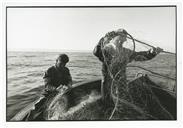 Pescador a alar a rede de emalhar e a retirar lagostas