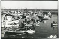 Pescadores e embarcações no porto de pesca de Sesimbra