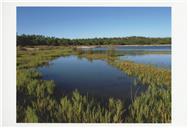 Lagoa pequena da lagoa de Albufeira