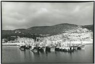 Vista do porto de pesca de Sesimbra