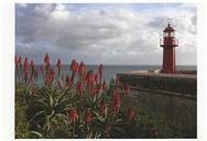 Farol do forte de São Teodósio